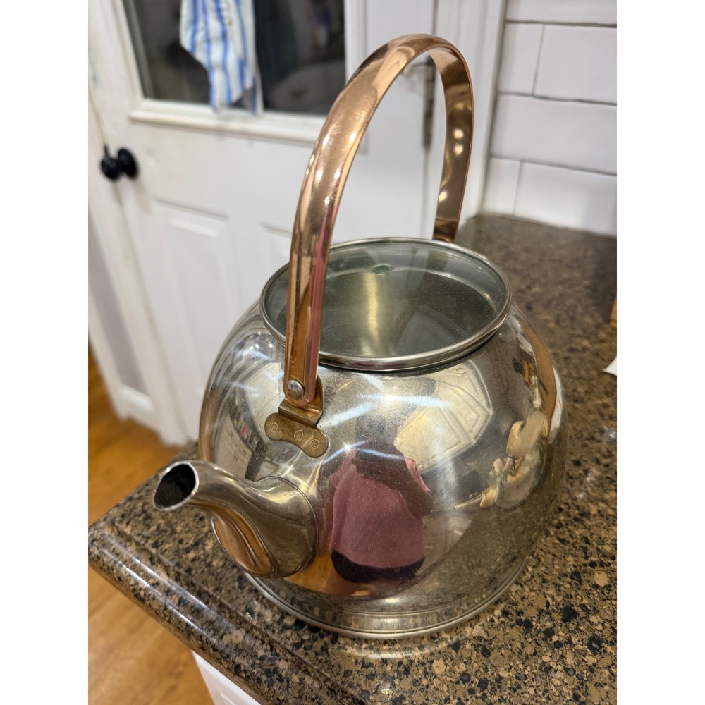 Well Equipped Kitchen Stainless Steel Tea Kettle Copper Handle Glass Lid